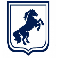 ВладМетЦентр